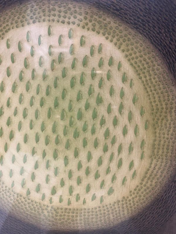 B&eacute;ryl (Stich) - Arthur Luiz  PIZA