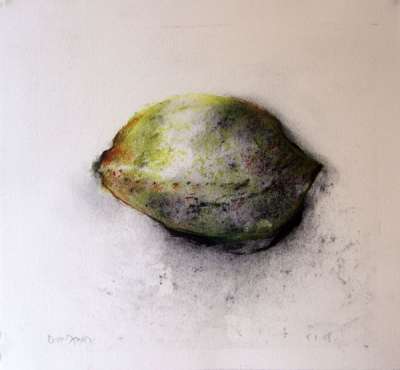 Citron (Fusain (contemporain)) - Jean-Jacques  DOURNON