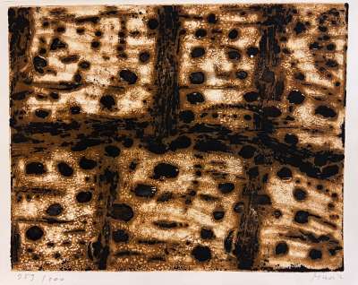 Ombre sur le Carse (Gravure) - Zoran  MUSIC